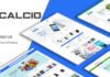 Тема для Opencart CALCIO для создания мегамаркета