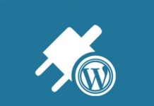 How to develop plugin for WordPress?