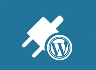 How to develop plugin for WordPress?