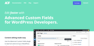 Custom api route for updating ACF fields in WordPress