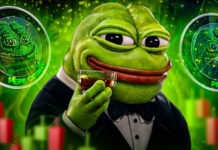 Обзор криптовалюты Pepe coin (PEPE)
