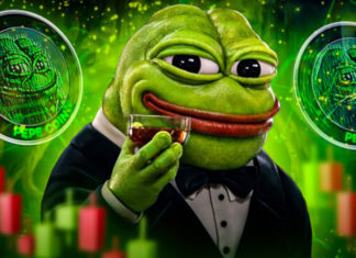 Pepe coin (PEPE) cryptocurrency review