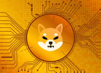 Shiba inu token review – forecast for 2024