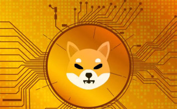 Shiba inu token review – forecast for 2024